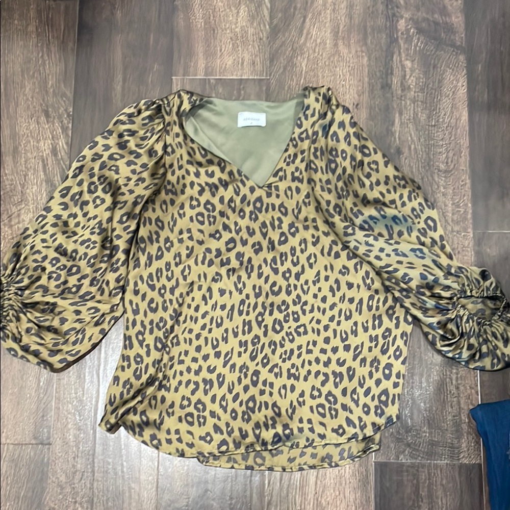 Leopard Print V-Neck Blouse